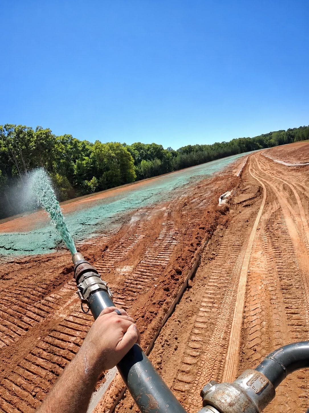 Freshly hydroseeded shoulder along a wooded construction access road