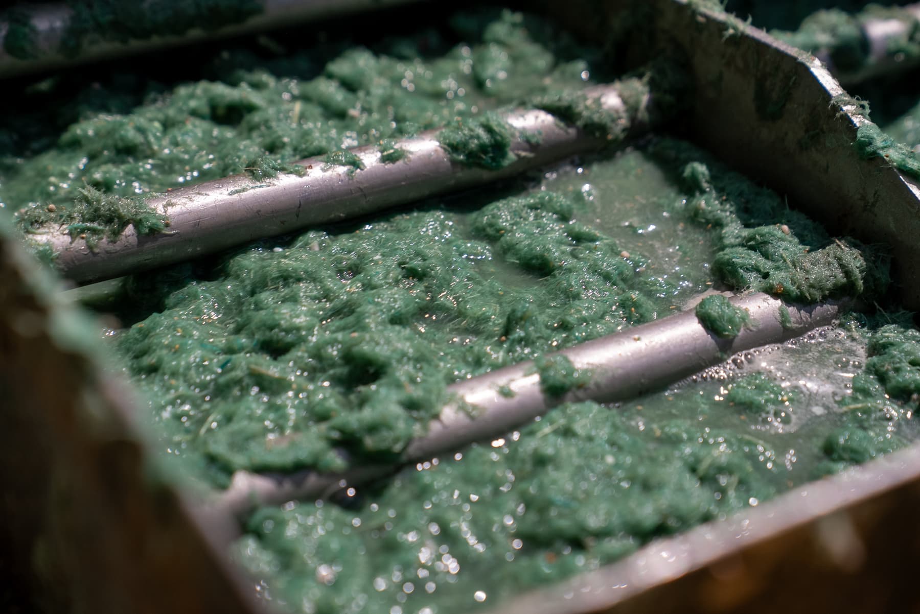 Close-up of hydroseed slurry mixture of seed, mulch and fertilizer in a tank
