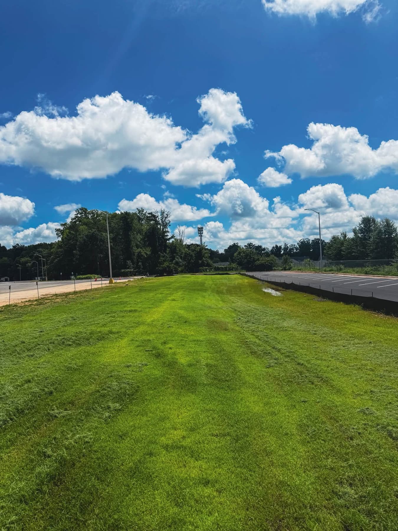 Established green commercial lawn along a roadway with parking lot