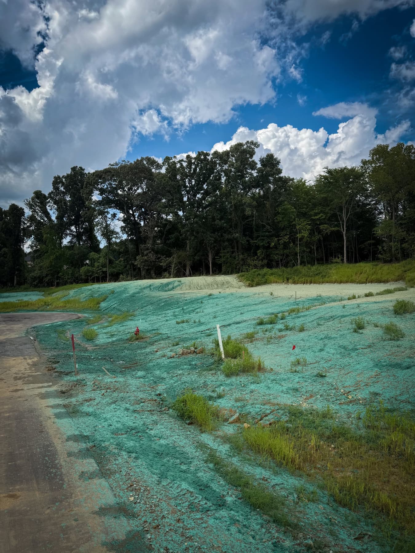 Freshly hydroseeded retention basin slope near a roadway, representative of Prime Hydroseeding's commercial site work around Rock Hill, SC