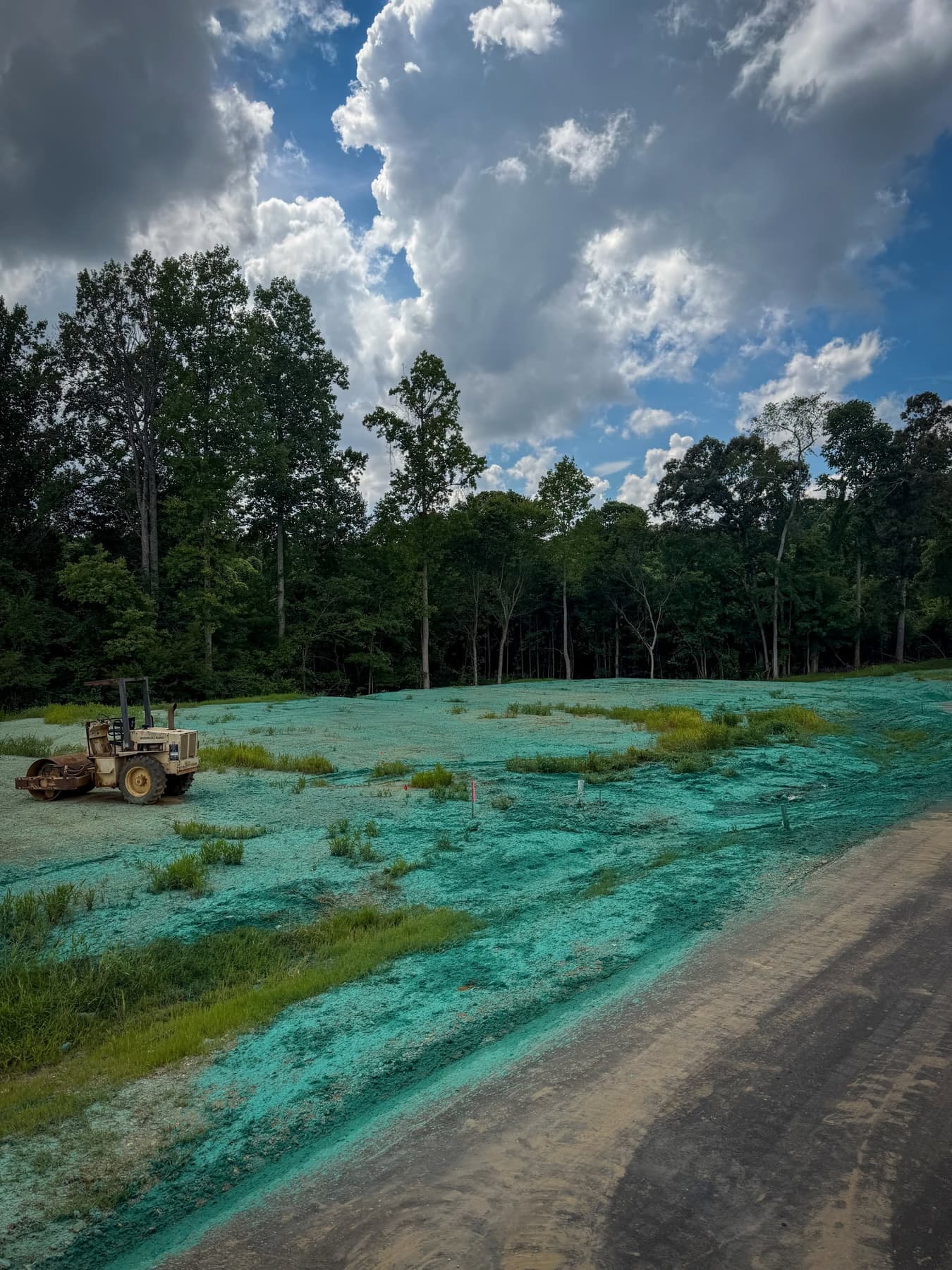 Freshly hydroseeded commercial construction slope with compaction equipment