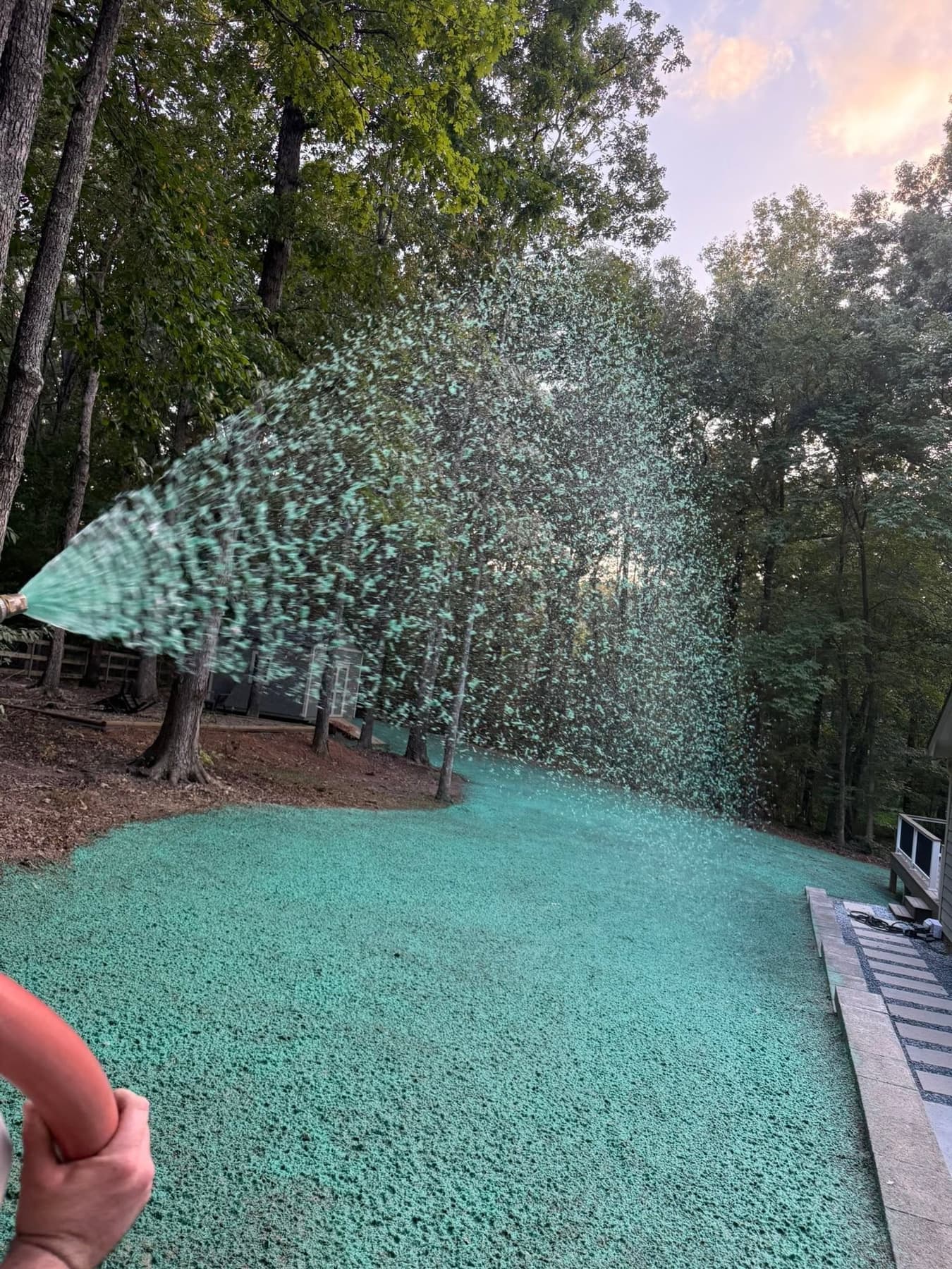Hydroseed slurry being applied to a residential backyard at dusk