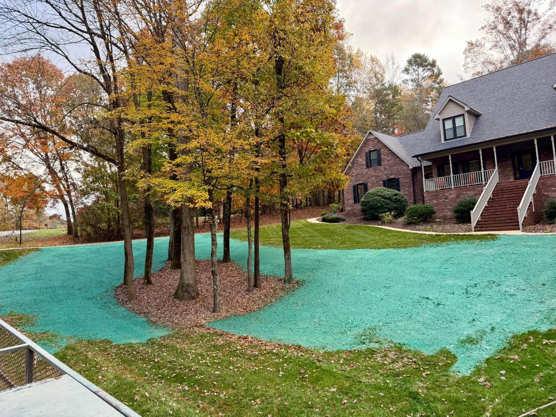 Freshly hydroseeded residential lawn near a brick home in autumn