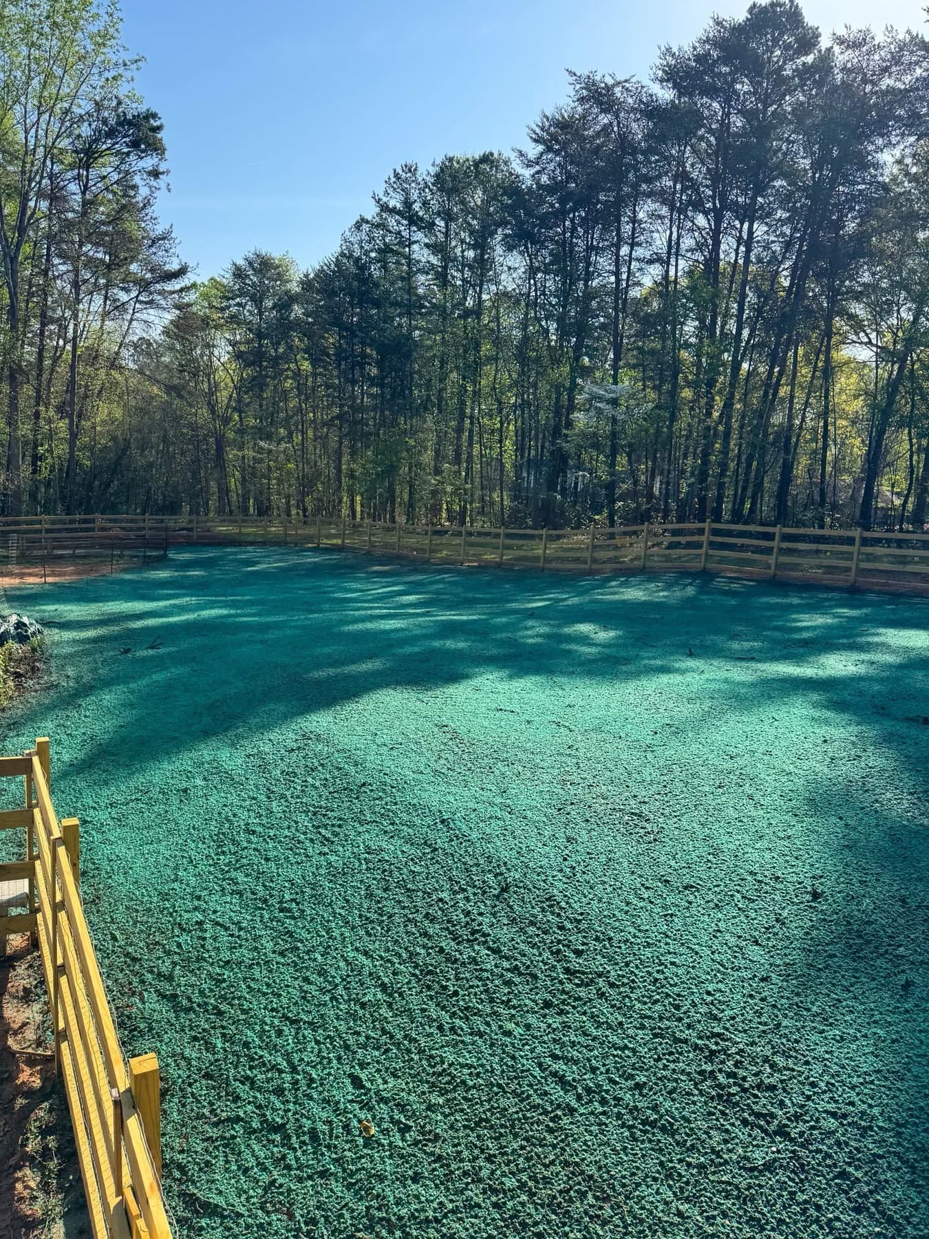 Freshly hydroseeded residential yard with wood pasture fencing