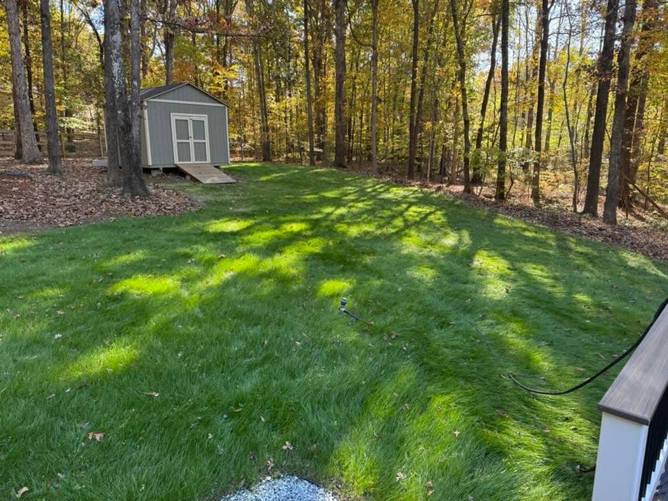 Established green residential backyard lawn with a storage shed
