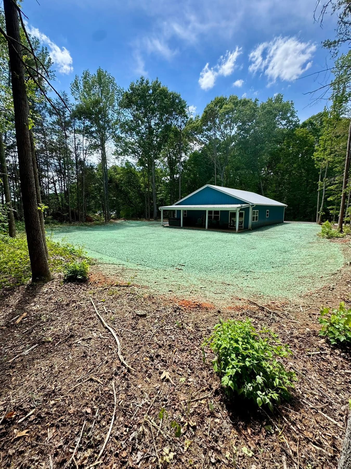 Freshly hydroseeded residential yard surrounded by a wooded lot