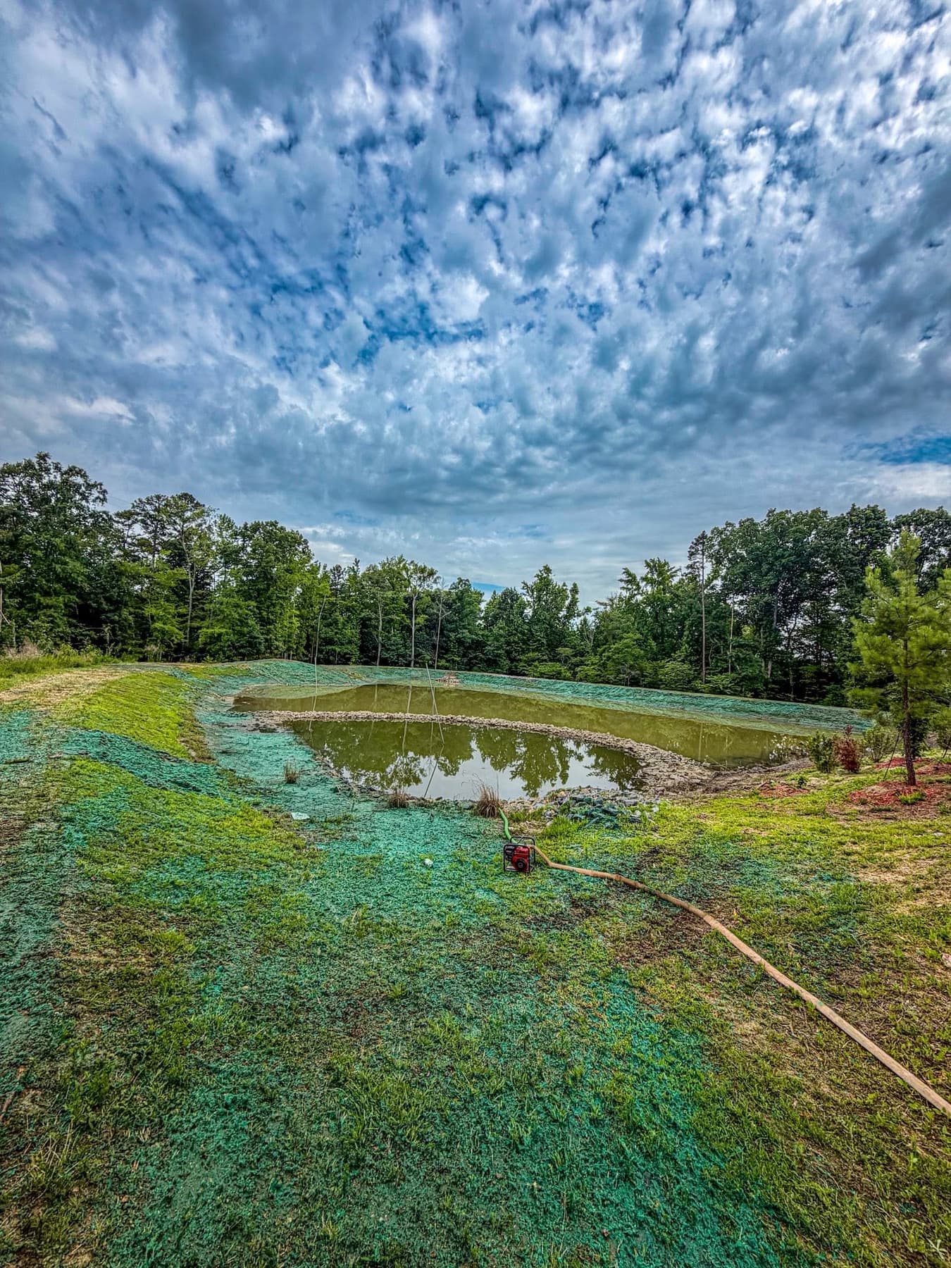 Freshly hydroseeded retention pond banks with standing water and dewatering pump
